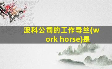 波科公司的工作导丝(work horse)是